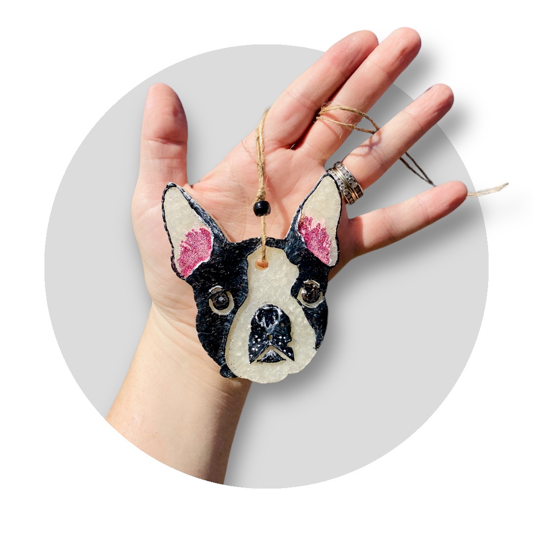 Boston Terrier Dog Freshie