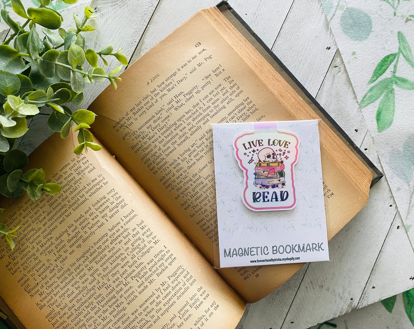 Live Love Read Books and Skull Magnetic Bookmark