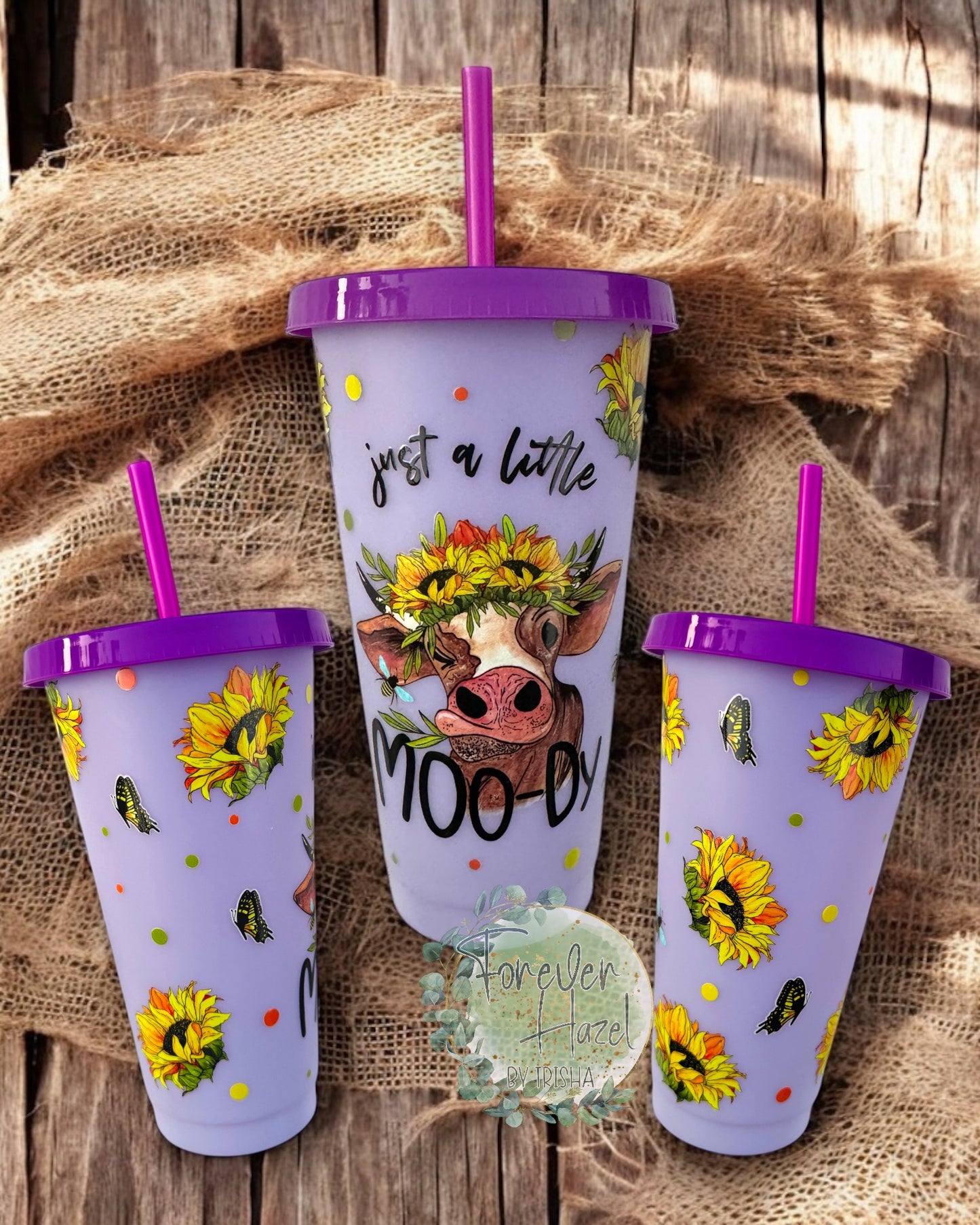 Just A Little Moody Color Change Plastic Tumbler